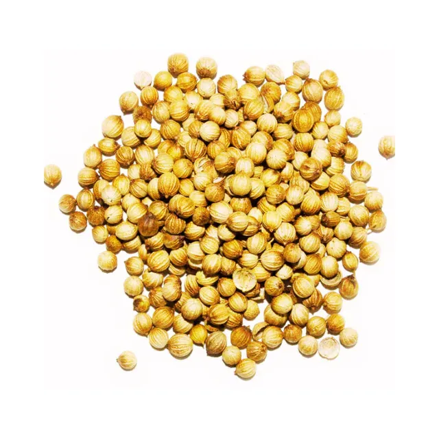 Semilla de Cilantro